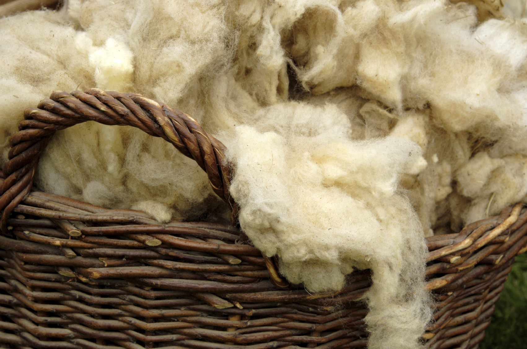 From Fleece to Field: The History of Wool and Why it’s Still the Best Outdoor Performance Fabric
